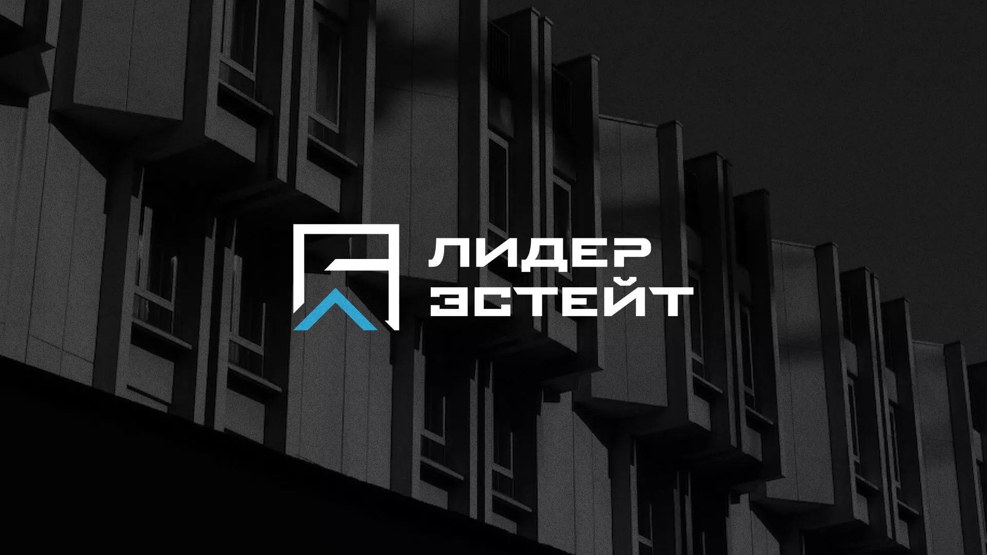 Разработка логотипа агентства недвижимости «Лидер Эстейт» в Никольске